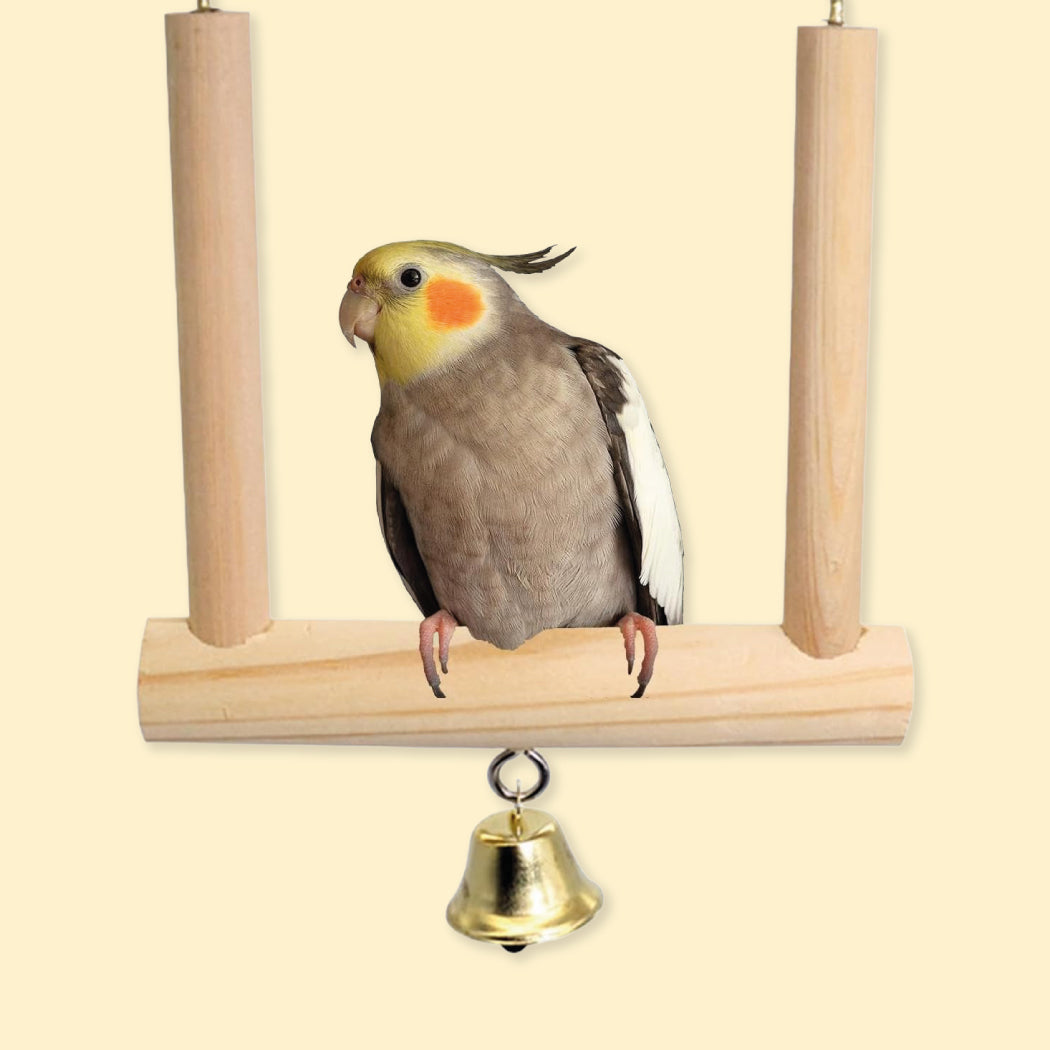 Accesorios y Complementos Pájaros