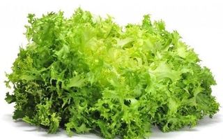 Insalata indivia riccia sfusa categoria I origine Italia kg 0.5