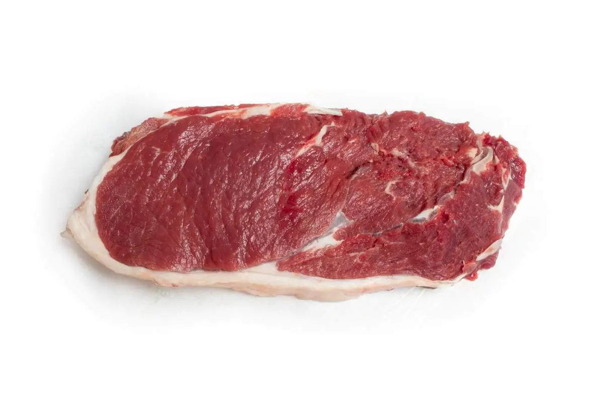 Bovino