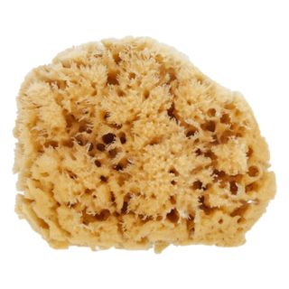 Life Gąbka do kąpieli natural