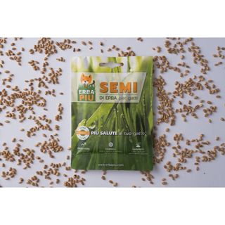 Erba piã¹ semi di erba per gatto 1 pz