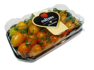 Pomodoro Datterino Giallo -6935