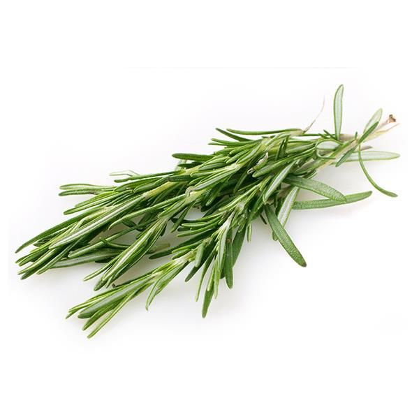 Ervas Aromáticas