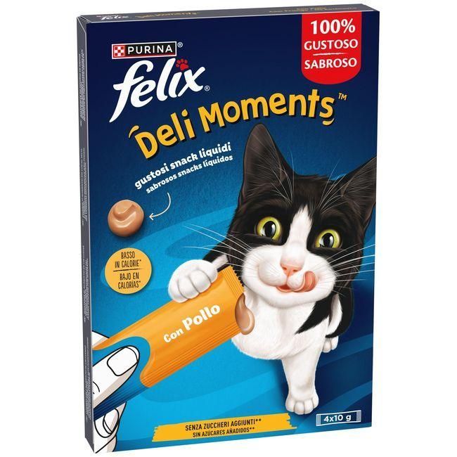Alimentação Húmida Gato