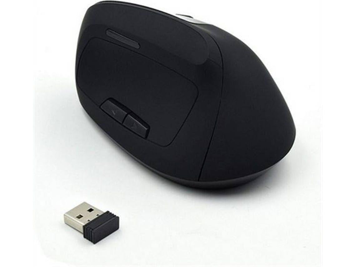 Ratos e Tapetes de Rato