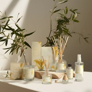 Vaso Vela 130Grs Mimosa Dour (87421129)