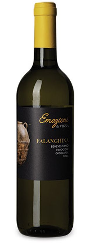 Falanghina beneventano IGT