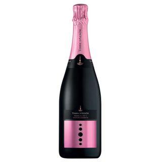 Franciacorta DOCG Rosé Extra Brut Millesimato BIO 2019