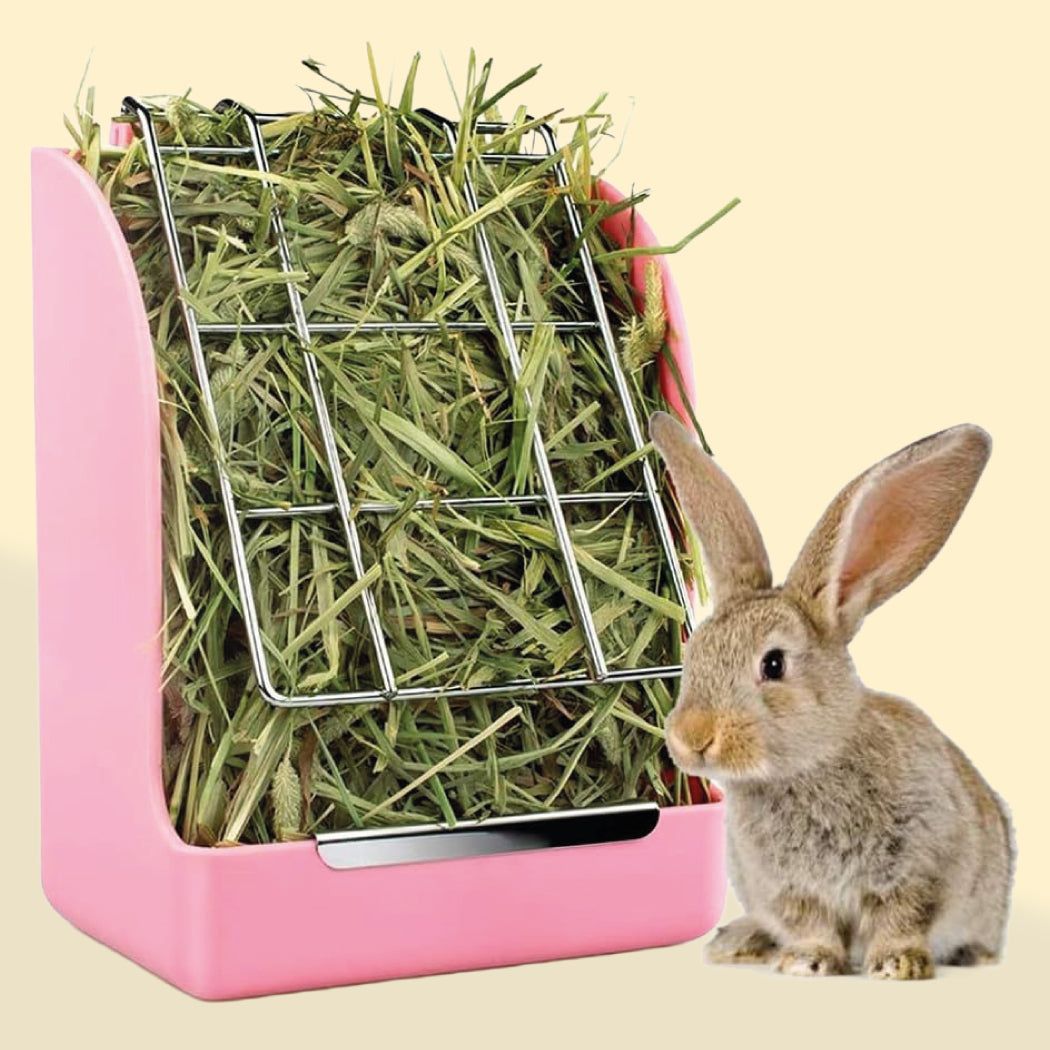 Alimentación Roedores