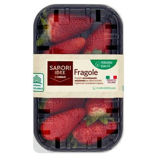 SAPORI & IDEE CONAD Percorso Qualità Fragole NSG 203 Italia Cal. 25+ mm 300 g - 8003170084285