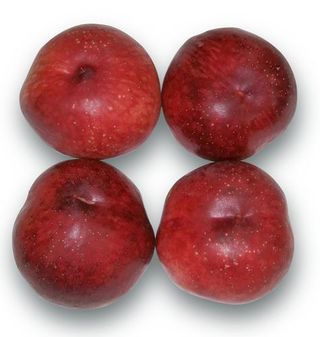 Nectarina 4 Uds. 800G Aprox.