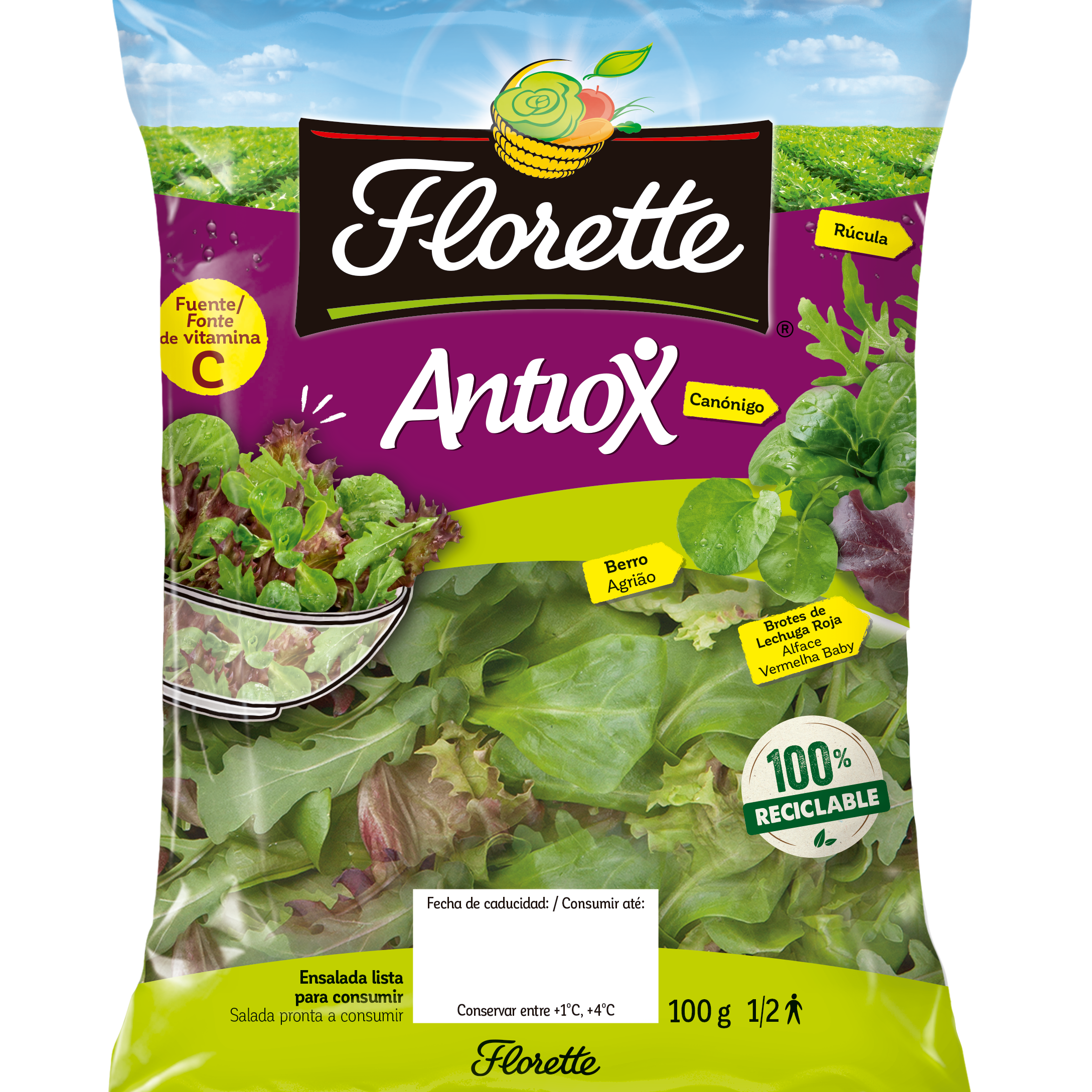 Salada, Preparados e Salteados