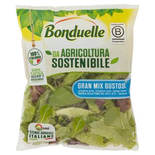Bonduelle Gran Mix Gustoso 100 g - 8006862008378