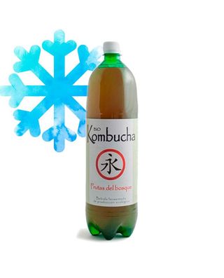 Kombucha de frutas del bosque 1,5L Bio Kombucha