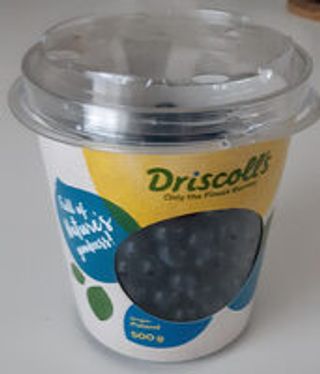 MIRTILLI GR.500- 0316862