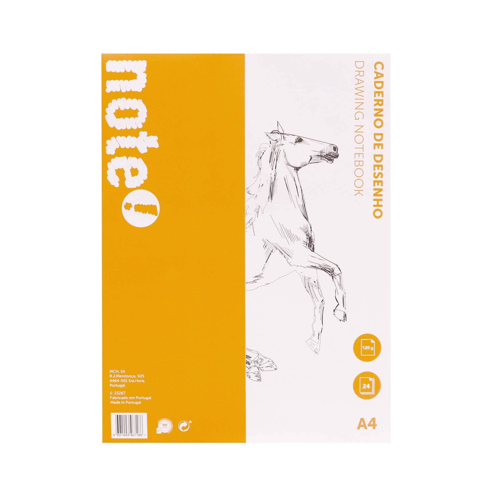 Desenho e Trabalhos Manuais