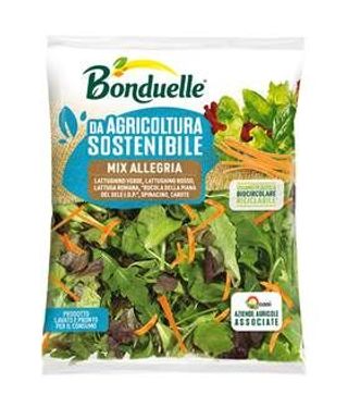 Insal Mix Allegria 125Gr