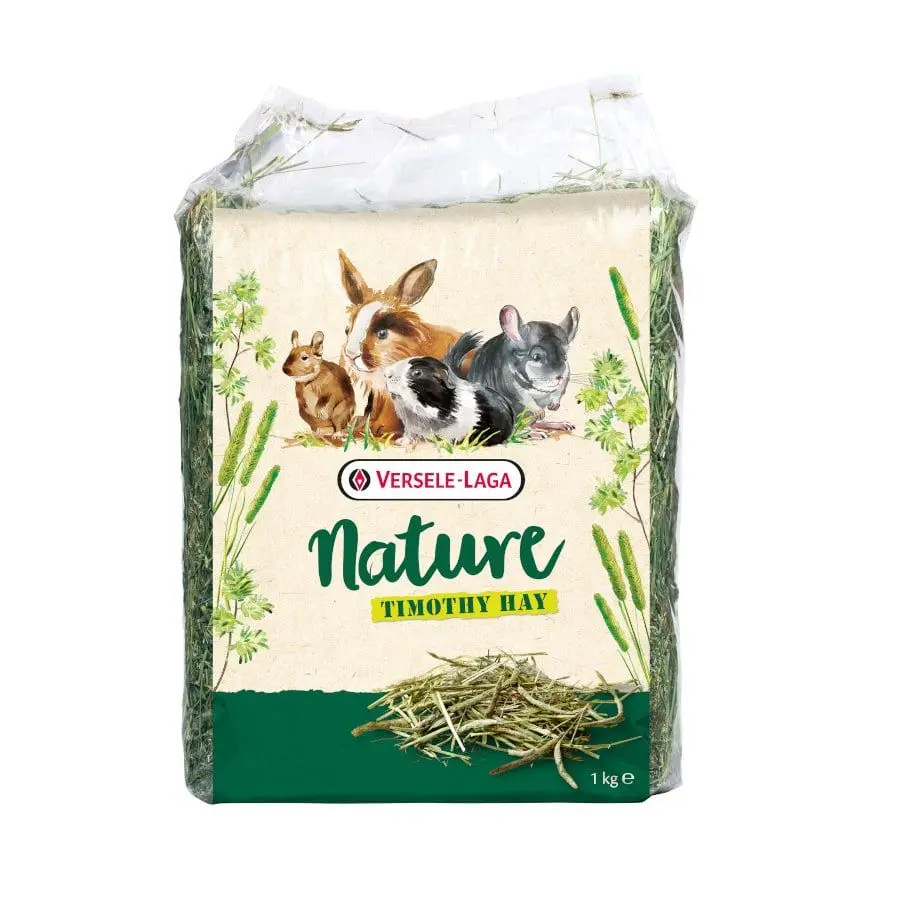 Alimentação Roedores
