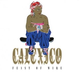 Feast Of Wire 20Th Anniversary - 3 Vinilos (4250506845377)