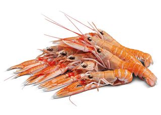 Scampi 17/20 Vaschetta 750Gr - 159809
