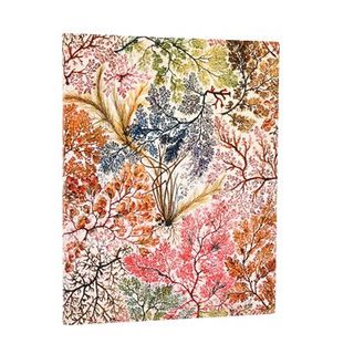 Libreta Flexi Anemonas Ultra Raya 2 (9781439799024)