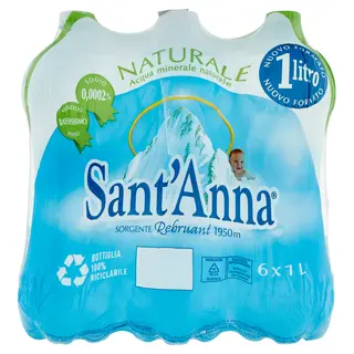 Sant'Anna Sorgente Rebruant 1950M Naturale 6 X 1 L