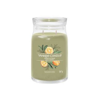 Sage e Citrus, candela giara grande - Yankee Candle