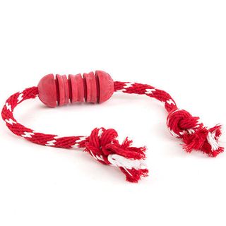 Kong Dental With Rope M