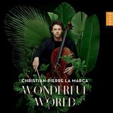 Wonderful World (2Cd) (3700187673628)