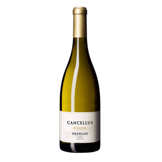 Cancellus Premium Douro Vinho Branco (garrafa 75 cl)