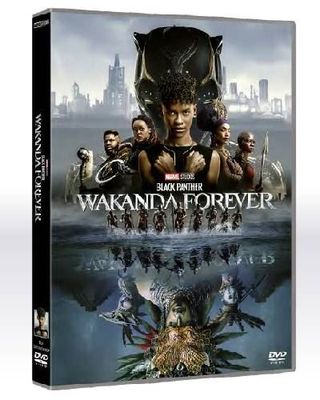 Black Panther: Wakanda Forever - Dvd (8421394600065)