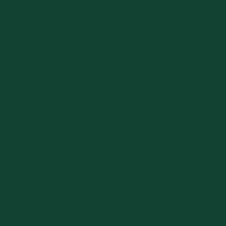 Esm Antiox Br Liso Lux 8A Green 0.25L (82434948)