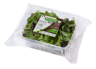 Insalatina Tagliata e Lavata Bio