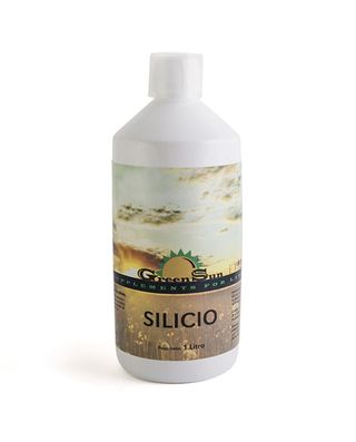 Silicio 1L Green Sun