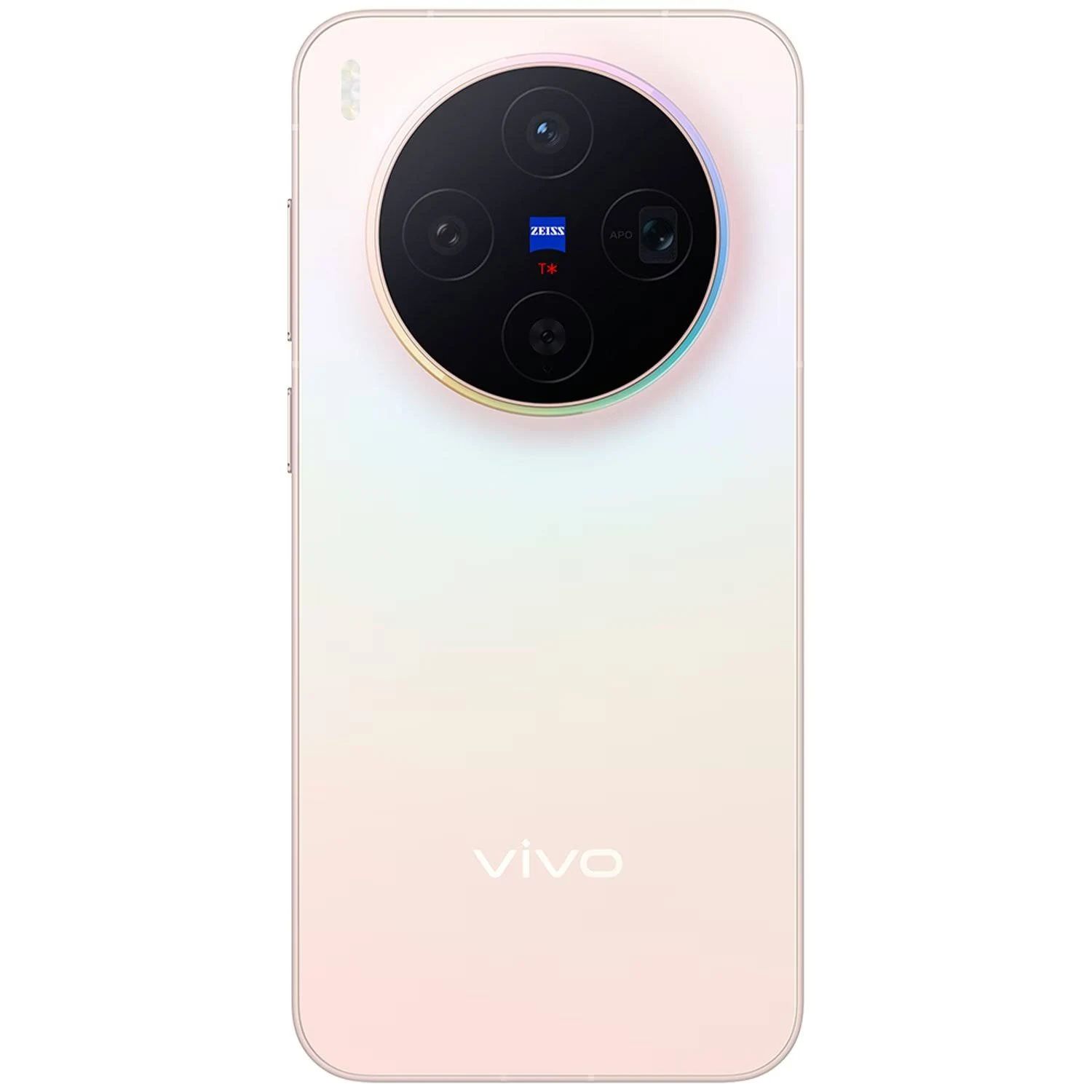 Vivo X300