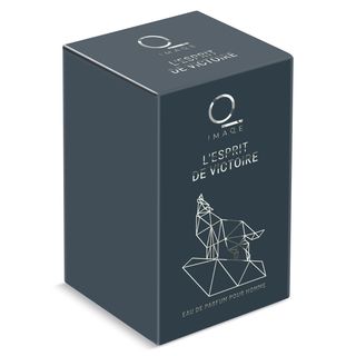 Perfume Para Hombre L'Esprit De Victoire Imaqe De Dia Frasco 100 Ml
