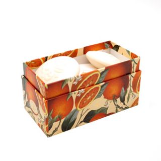 Jabón Naranja Pastilla 6X50 Gr. Fiorentino (8032665590352)