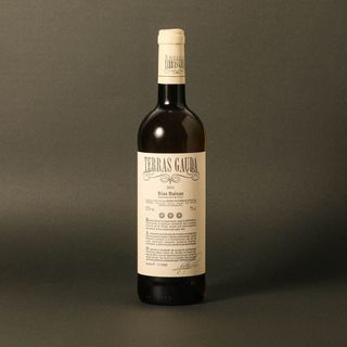 Vi Blanc Albariño 2019 Terras Gauda 75Cl D.O Rias Baixas
