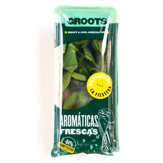 Hierbabuena Bandeja (20 G Aprox)