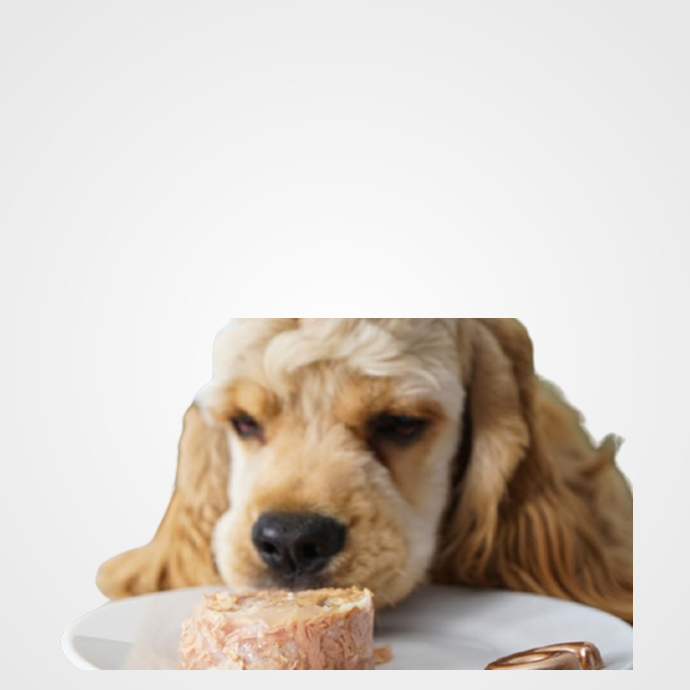 Comida Húmeda Perros Por Marca