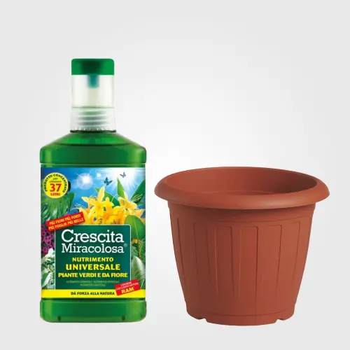 Giardinaggio