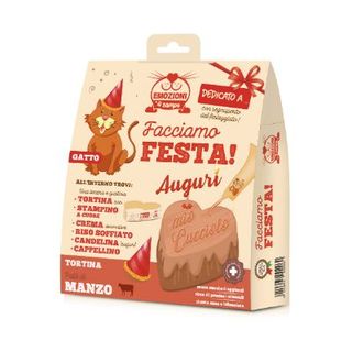 Kit facciamo festa per gatto manzo