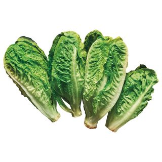 Sałata rzymska mini goBIO, 1 szt.