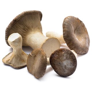 Funghi Cardoncello Vic 200G/M4 Vic A Funghi Cardoncello 200G