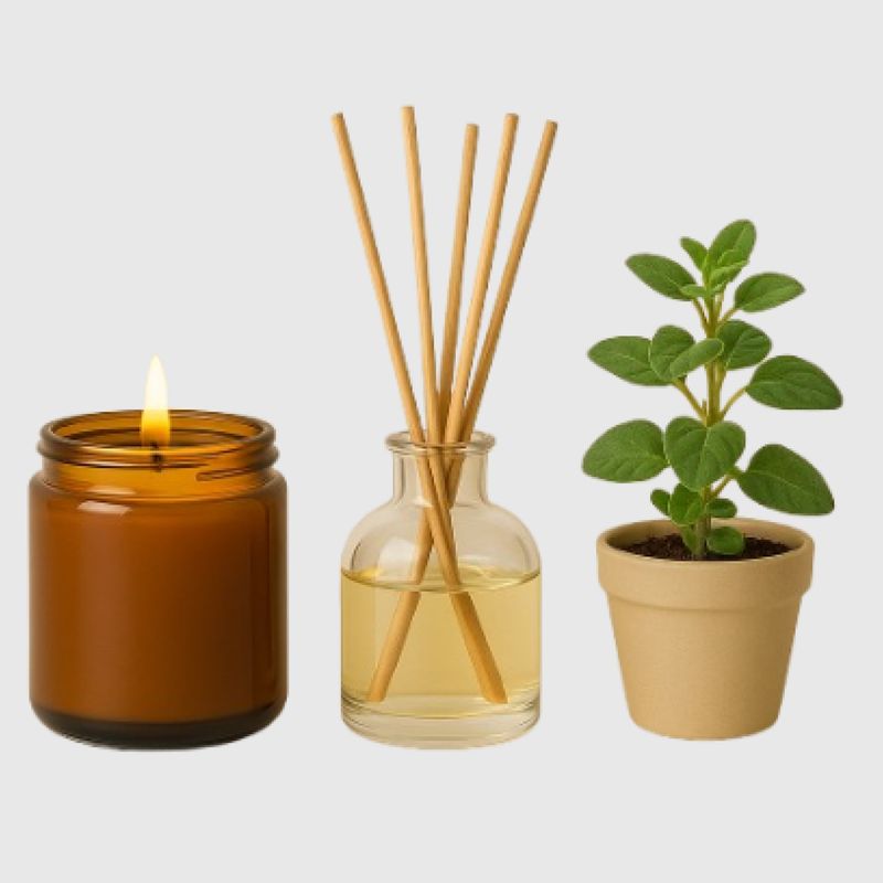 Ambientación y Bienestar