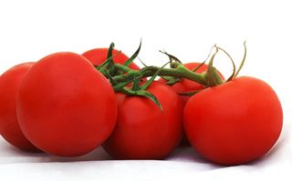 Pomodoro tondo insalataro sfuso origine Italia kg 1.00