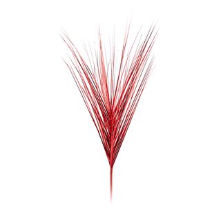 Spiga rossa, - 109 cm