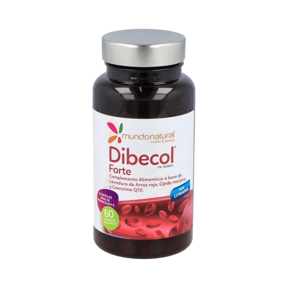 Salud Cardiovascular