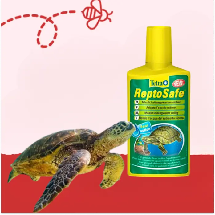 Cuidados y Accesorios Reptiles