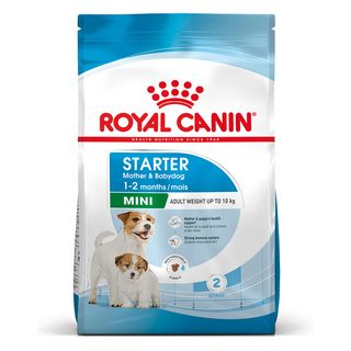 Royal canin mini starter m&b alimento completo per cagne di taglia piccola fino a 10 kg ed cuccioli in svezzamento fino a 2 mesi di etã  1kg